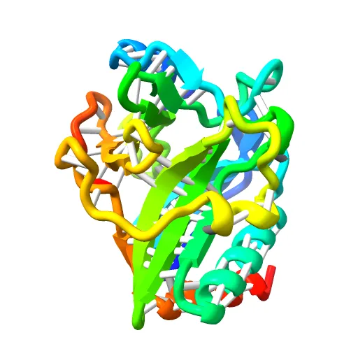 CdiA-CT/CdiI toxin and immunity complex from Enterobacter cloacae — Фото 2 из 12