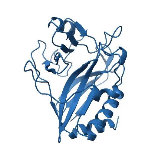 CdiA-CT/CdiI toxin and immunity complex from Enterobacter cloacae — Фото 3 из 12
