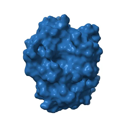 CdiA-CT/CdiI toxin and immunity complex from Enterobacter cloacae — Фото 4 из 12