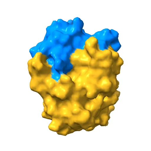 CdiA-CT/CdiI toxin and immunity complex from Enterobacter cloacae — Фото 6 из 12