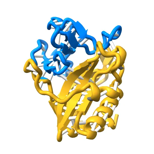 CdiA-CT/CdiI toxin and immunity complex from Enterobacter cloacae — Фото 8 из 12