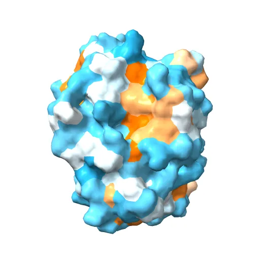 CdiA-CT/CdiI toxin and immunity complex from Enterobacter cloacae — Фото 9 из 12
