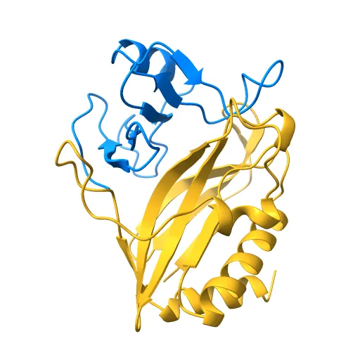 CdiA-CT/CdiI toxin and immunity complex from Enterobacter cloacae — Фото 10 из 12