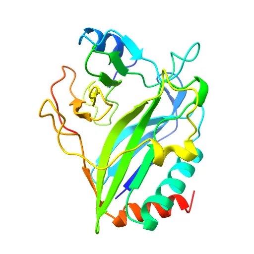 CdiA-CT/CdiI toxin and immunity complex from Enterobacter cloacae — Фото 12 из 12