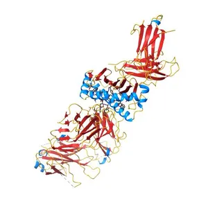 Crystal structure of the T-cell receptor NYE_S2 bound to HLA A2*01-SLLMWITQV