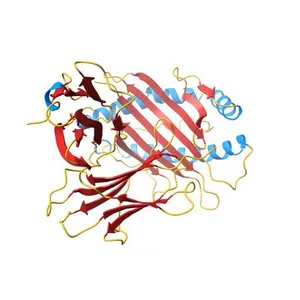 Crystal structure of HLA-B*07:02 in complex with an NY-ESO-1 peptide