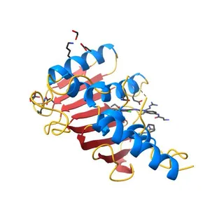 Ecoli GyrB24 with inhibitor 16a