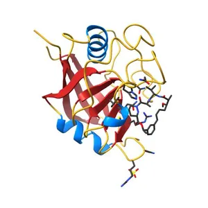 Discovery of a Potent Cyclophilin Inhibitor (Compound 8) based on Structural Simplification of Sanglifehrin A