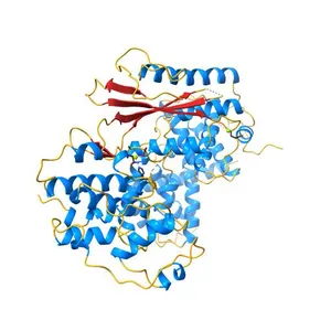 Crystal structure of CDK4 in complex with CyclinD1 and P27