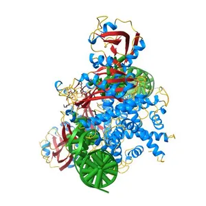 Crystal Structure Of Tn5 Transposase Complexed With 5' Phosphorylated Transposon End DNA