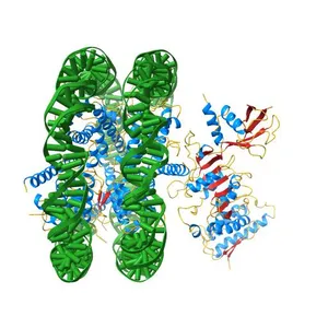 Structure of Dot1L-H2BK120ub nucleosome complex