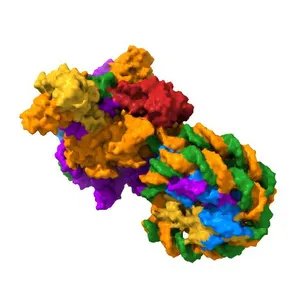 Structure of transcribing RNA polymerase II-nucleosome complex