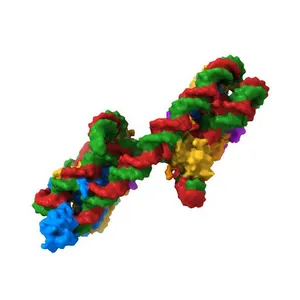 349 bp di-nucleosome harboring cohesive DNA termini assembled with linker histone H1.0 (high cryoprotectant)