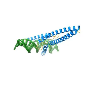 Crystal structure of Mad-Max recognizing DNA