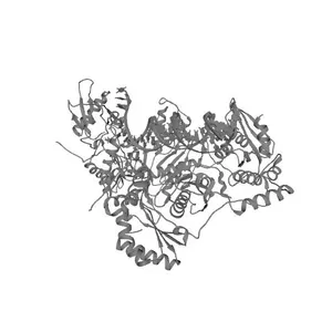 HIV Reverse Transcriptase with AZT and Etravirine (PathogenAR)
