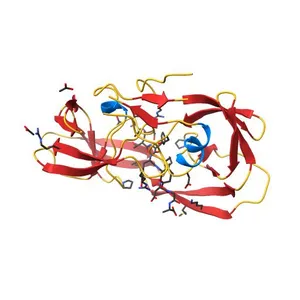 SUBSTRATE SHAPE DETERMINES SPECIFICITY OF RECOGNITION RECOGNITION FOR HIV-1 PROTEASE: ANALYSIS OF CRYSTAL STRUCTURES OF SIX SUBSTRATE COMPLEXES