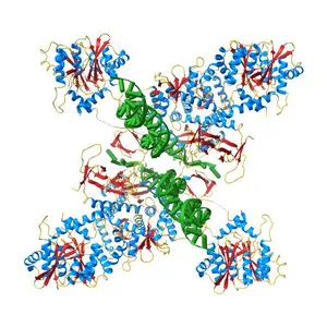 CryoEM structure of HIV-1 cleaved synaptic complex (CSC) intasome