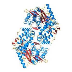 Hepatitis C Virus RNA polymerase in complex with UTP and manganese