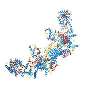 Crystal structure of UvrA-UvrB complex