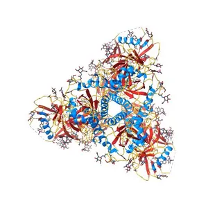 Crystal Structure of Ligand-Free BG505 SOSIP.664 HIV-1 Env Trimer