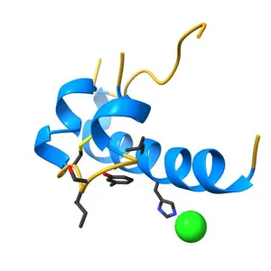 STRUCTURE OF INSULIN