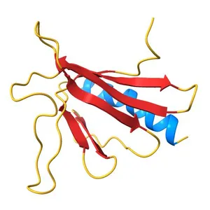 SOLUTION STRUCTURE OF THE ENA-VASP HOMOLOGY 1 (EVH1) DOMAIN OF HUMAN VASODILATOR-STIMULATED PHOSPHOPROTEIN (VASP)