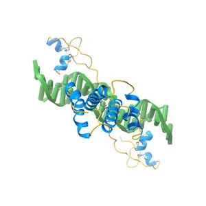 Structural Basis for Dimerization in DNA Recognition by Gal4