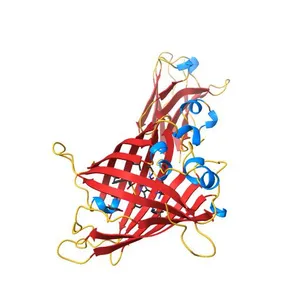 Crystal structure of GFPuv complexed with the nanobody LaG16 at 1.67 Angstron resolution