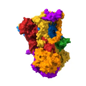 Chicken Cytochrome BC1 Complex inhibited by an iodinated analogue of the polyketide Crocacin-D
