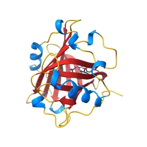 Crystal structure of biogenic amine binding protein from Rhodnius prolixus