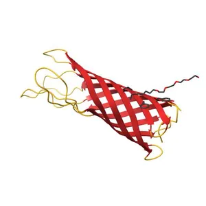 OUTER MEMBRANE PROTEIN A (OMPA) TRANSMEMBRANE DOMAIN