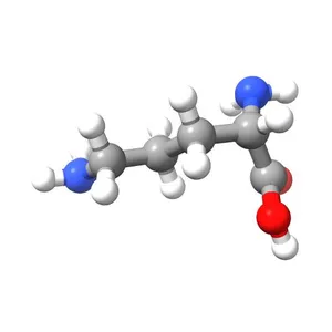 L-ornithine