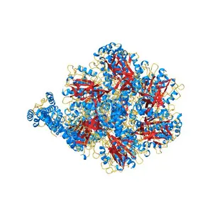 Bovine mitochondrial ATP synthase state 3b