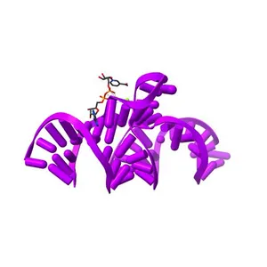 Crystal Structure of the Domain2 of NAD+ Riboswitch with nicotinamide adenine dinucleotide (NAD+)