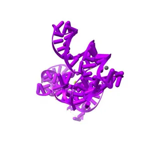 Crystal structure of the specificity domain of Ribonuclease P RNA