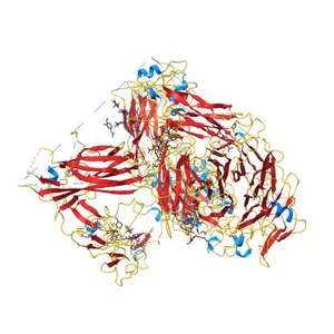 Three-dimensional reconstruction of intact human integrin alphaIIbbeta3 in a phospholipid bilayer nanodisc