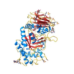 Velaglucerase alfa