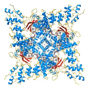 Structure of squirrel TRPV1 in apo state