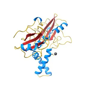 Tandem SH2 domains of ZAP-70 with 19-mer zeta1 peptide