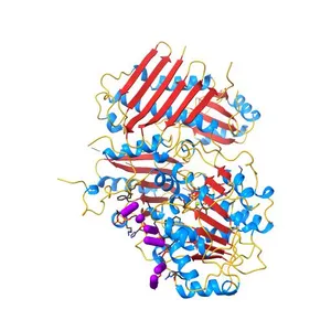 The crystal structure of the Exon Junction Complex at 2.2 A resolution