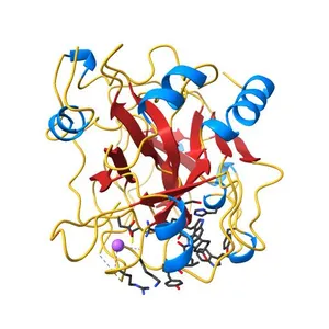 Structure of thrombin inhibited by AERUGINOSIN298-A from a BLUE-GREEN ALGA