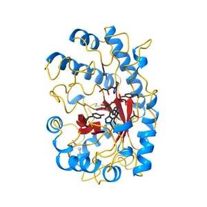 From Structure to Function: Insights into the Catalytic Substrate Specificity and Thermostability Displayed by Bacillus subtilis mannanase BCman