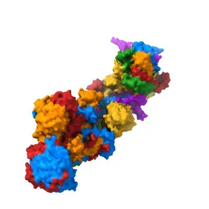 Cryo-EM structure of human respiratory complex I
