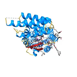 Crystal structure of human C5a receptor in complex with an orthosteric antagonist PMX53 and an allosteric antagonist avacopan