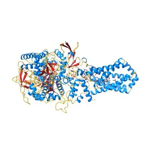 Crystal structure of the E. coli succinate:quinone oxidoreductase (SQR) SdhC His84Met mutant