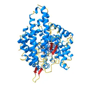 Crystal Structure of Human Angiotensin Converting Enzyme in complex with lisinopril.
