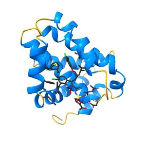 Mcl-1 complexed with small molecule inhibitor