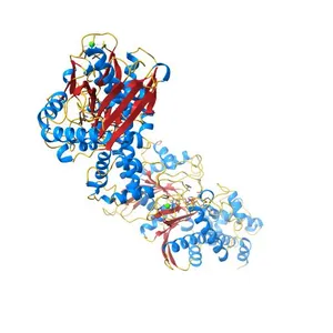 CRYSTAL STRUCTURE OF RECOMBINANT HUMAN BRAIN HEXOKINASE TYPE I COMPLEXED WITH GLUCOSE AND GLUCOSE-6-PHOSPHATE