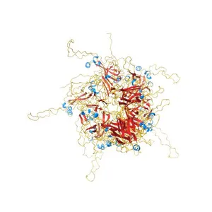 2-fold subparticles refinement of human papillomavirus type 58 pseudovirus in complexed with the Fab fragment of 5G9