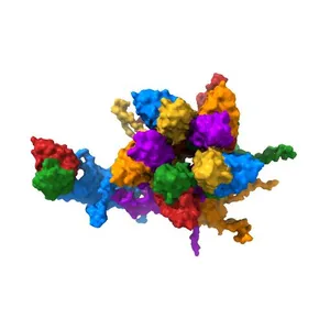 Subparticle refinement of human papillomavirus type 16 pesudovirus in complex with H16.001 Fab